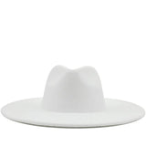 Sleek Wide Brim Fedora Hat