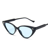 Retro Cat Eye Sunglasses