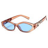 Small Frame Polygon Sunglasses