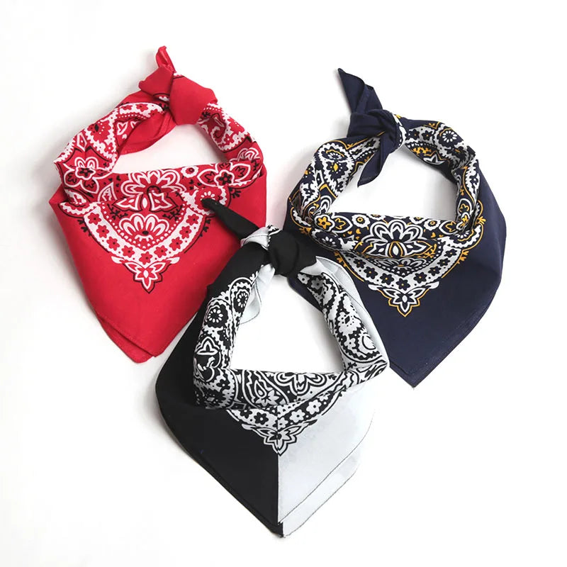 Paisley print bandana folded to show pattern detail