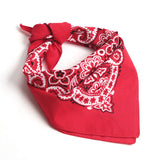 Red Model wearing paisley bandana, side view