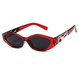 Small Frame Polygon Sunglasses