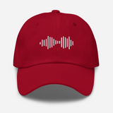 Embroidered Soundwave Hat