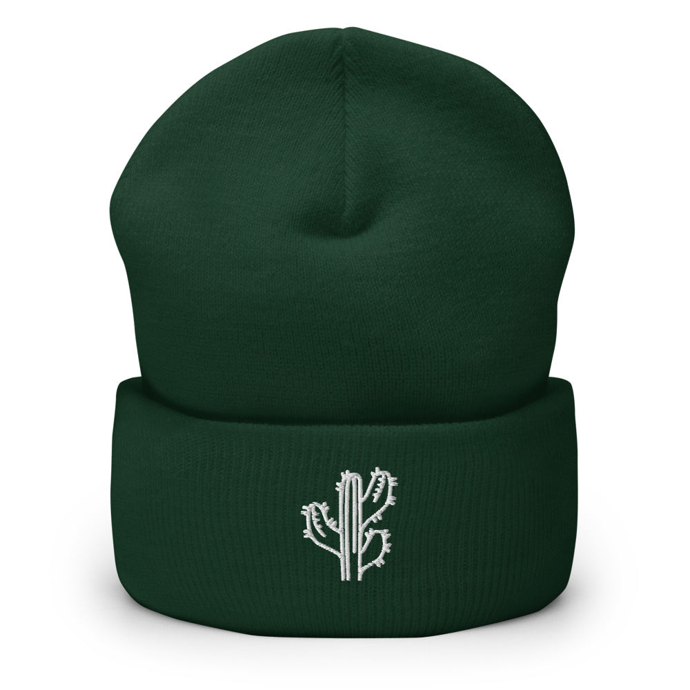 Spruce Cactus cuffed knit beanie, angled view