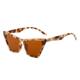 Unique Triangle Sunglasses