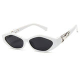 Small Frame Polygon Sunglasses