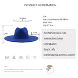 Sleek Wide Brim Fedora Hat