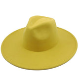 Sleek Wide Brim Fedora Hat
